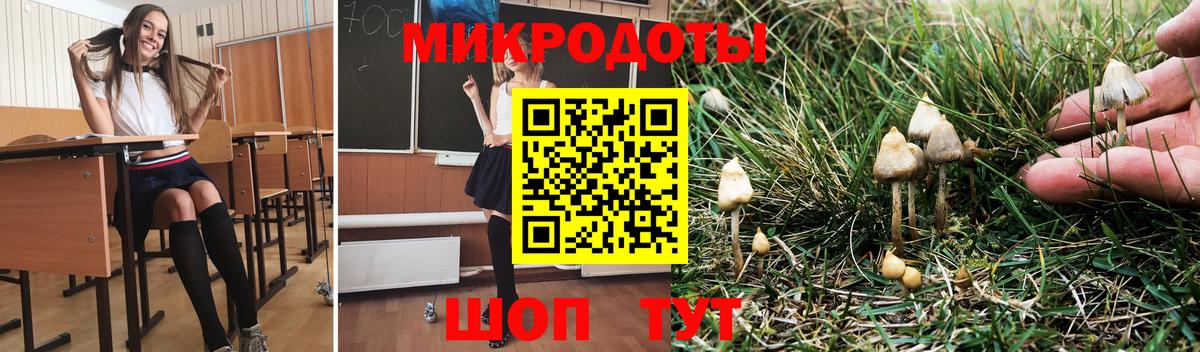 Галлюциногенные грибы Psilocybe Симферополь
