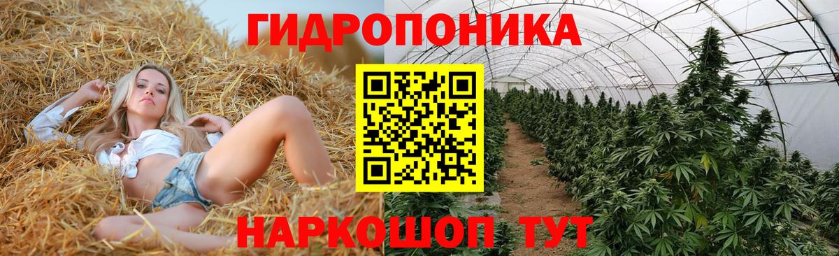 Конопля план  Вход с VPN  Марихуана LSD WEED  Симферополь  Каннабис сатива 